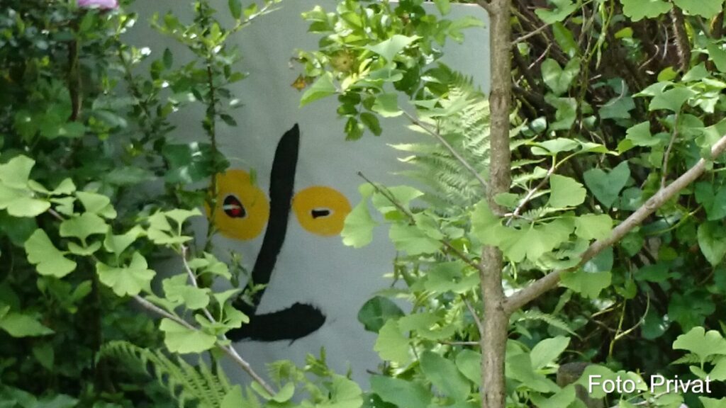 face daito1