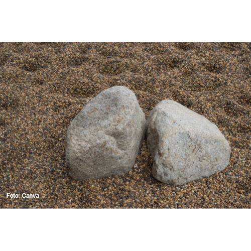 canva 8